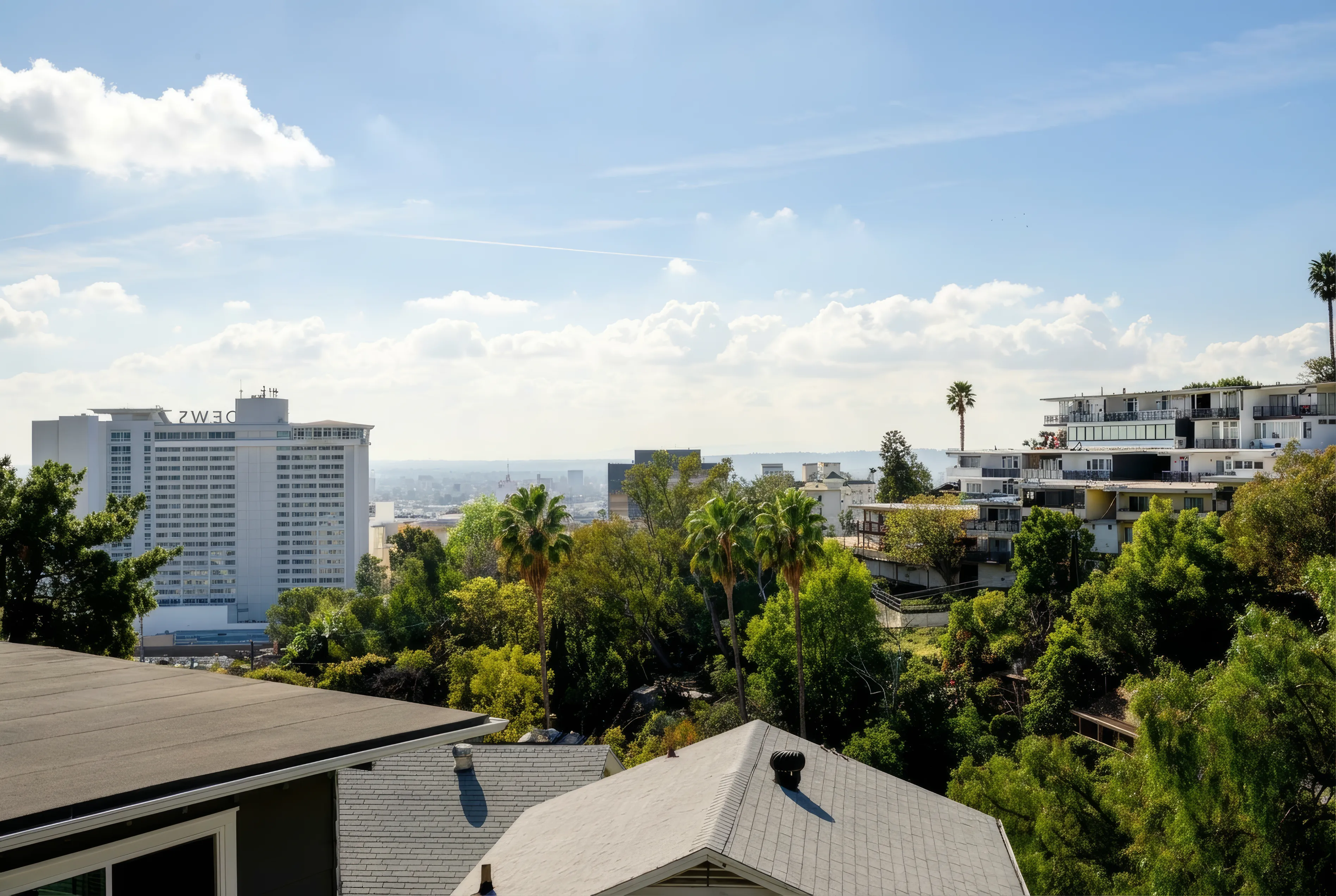 Neighborhood City View