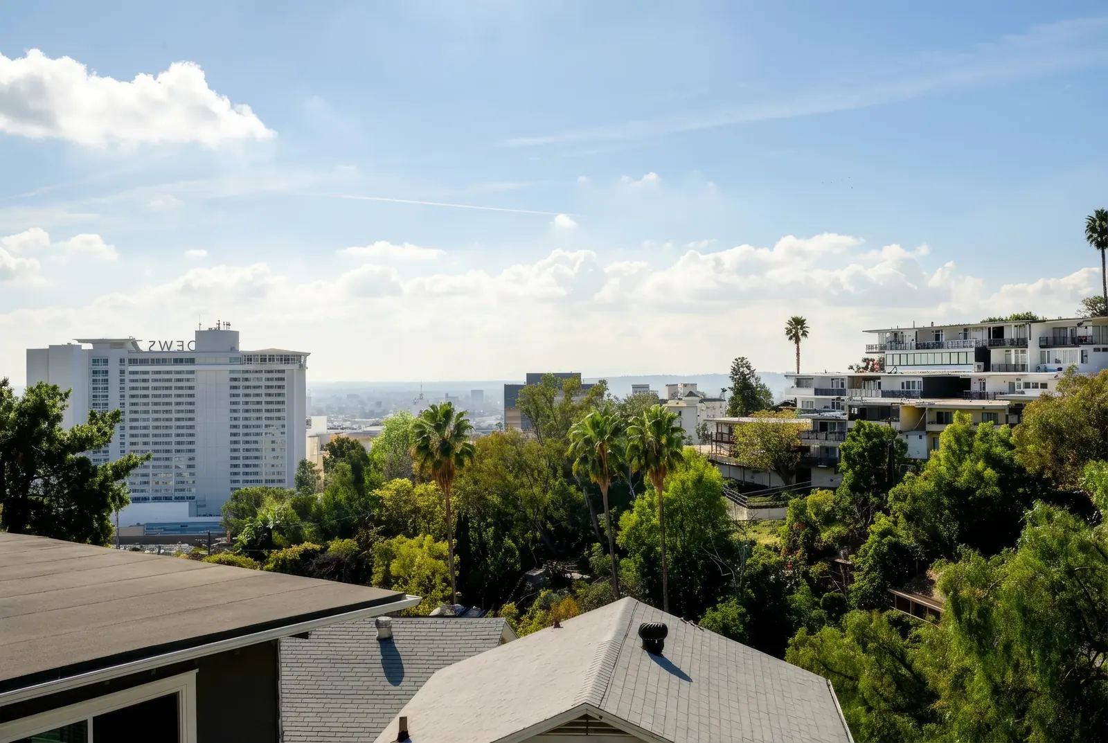 Neighborhood City View
